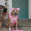 Dog Leash - Care Bears™ Cheer Bear