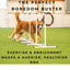 Better Sporting Dogs Upgraded Dog Agility Set – 5 Piece Training Kit with Safety Breakaway Tire Jump, Displacement Bar Jump, Tunnel, Weave Poles & Pause Box