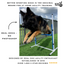 Better Sporting Dogs Adjustable Dog Agility Bar Jumps