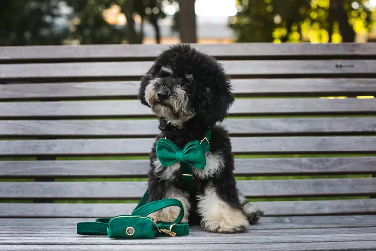 Green Velvet Set