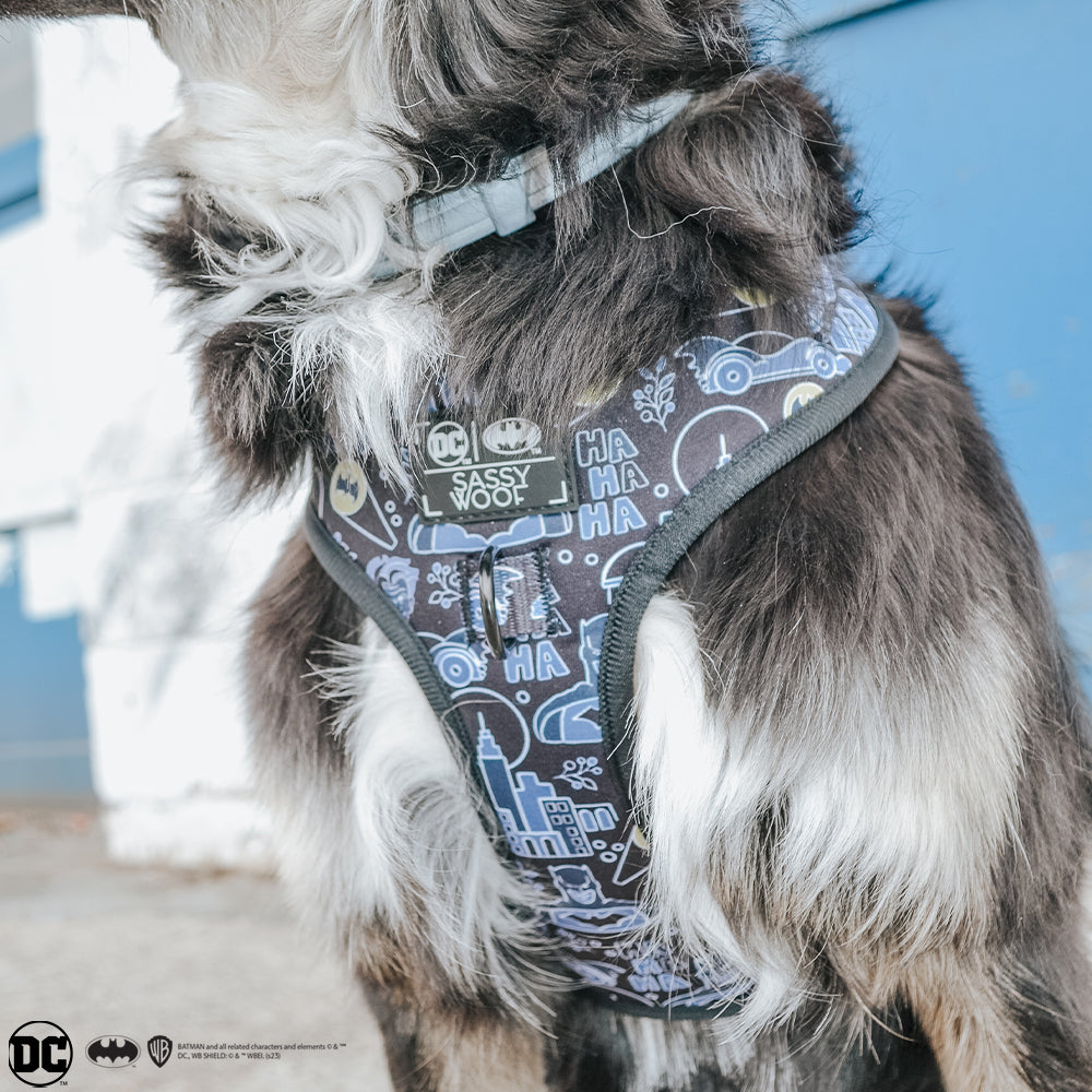 Dog Collar - Batman™