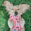 Dog Adjustable Harness - STAR WARS™ Princess Leia