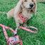 Dog Leash - STAR WARS™ Princess Leia