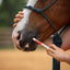 Jeffers Ivermectin Horse Dewormer Gel, Apple Flavored