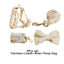 Ivory Gold Leaf Velvet Set