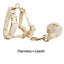Ivory Gold Leaf Velvet Set