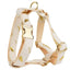 Ivory Gold Leaf Velvet Set