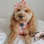 Dog Adjustable Harness - Out of Office