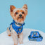 Dog Adjustable Harness - Peanuts™ Snoopy in Space