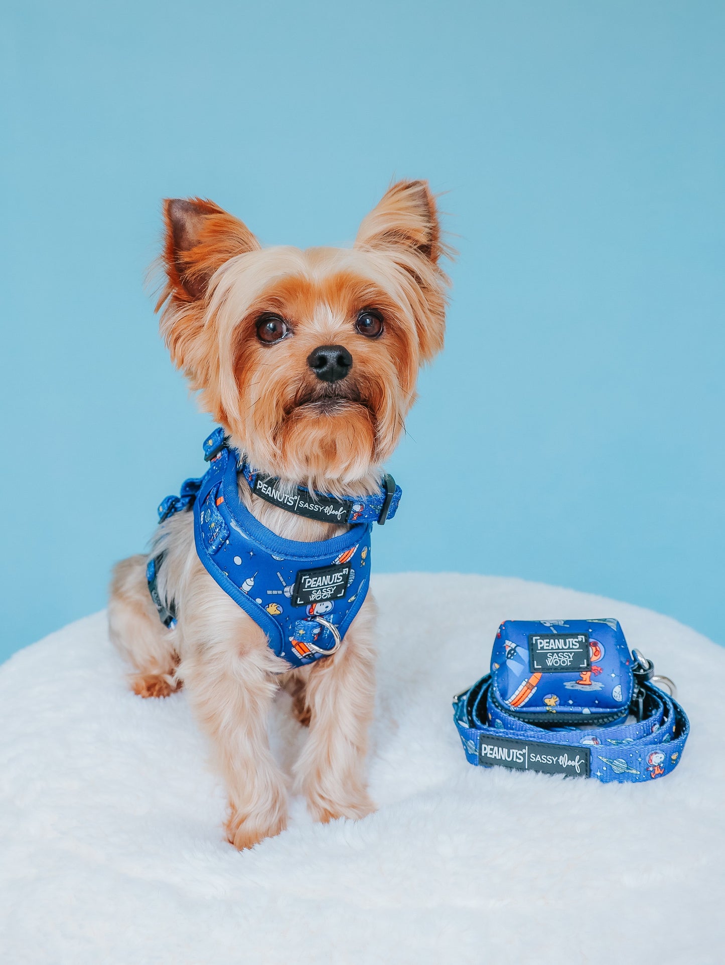 Dog Adjustable Harness - Peanuts™ Snoopy in Space