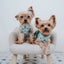 Dog Adjustable Harness - Care Bears™ Care-a-Lot