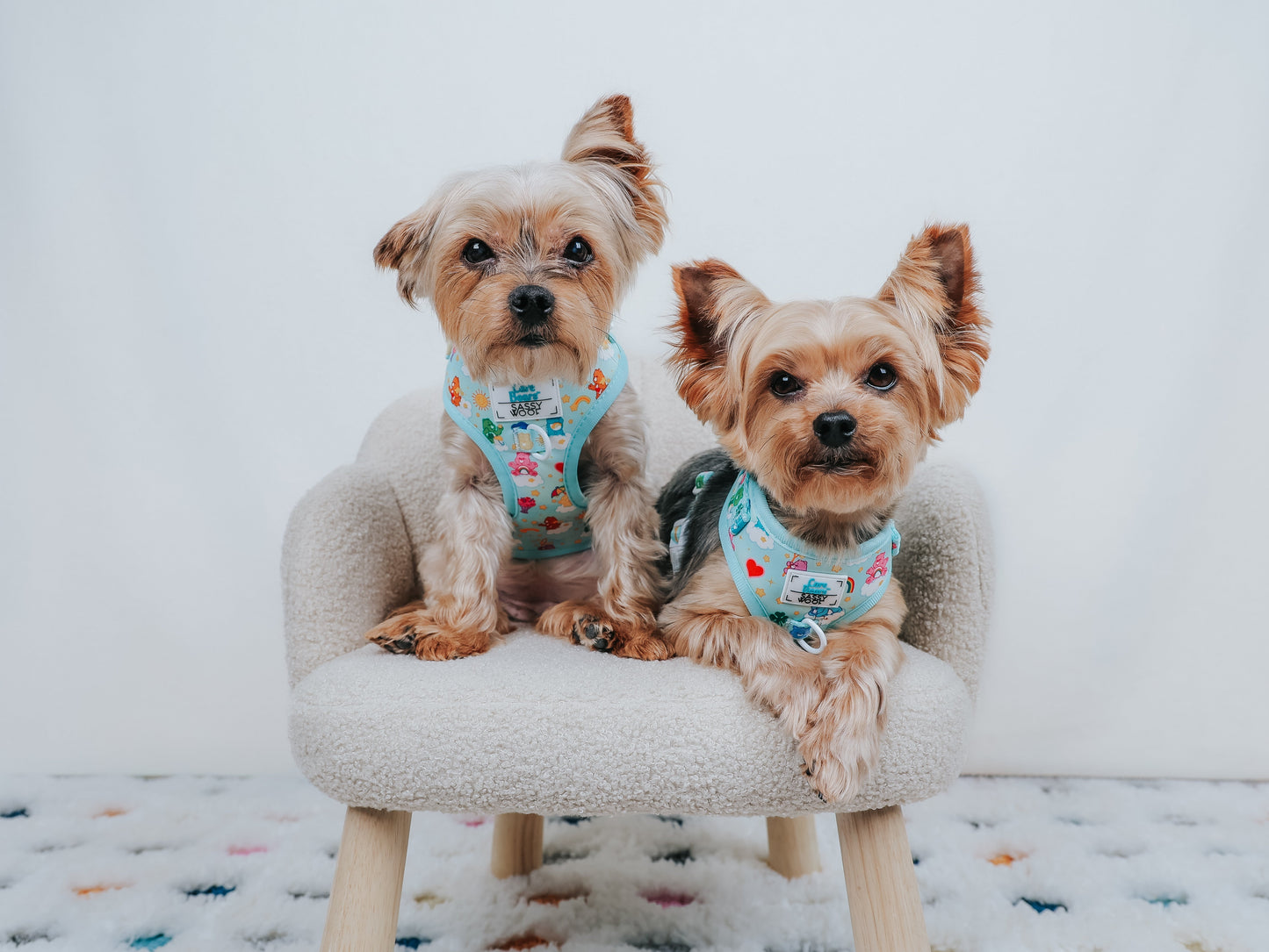 Dog Adjustable Harness - Care Bears™ Care-a-Lot