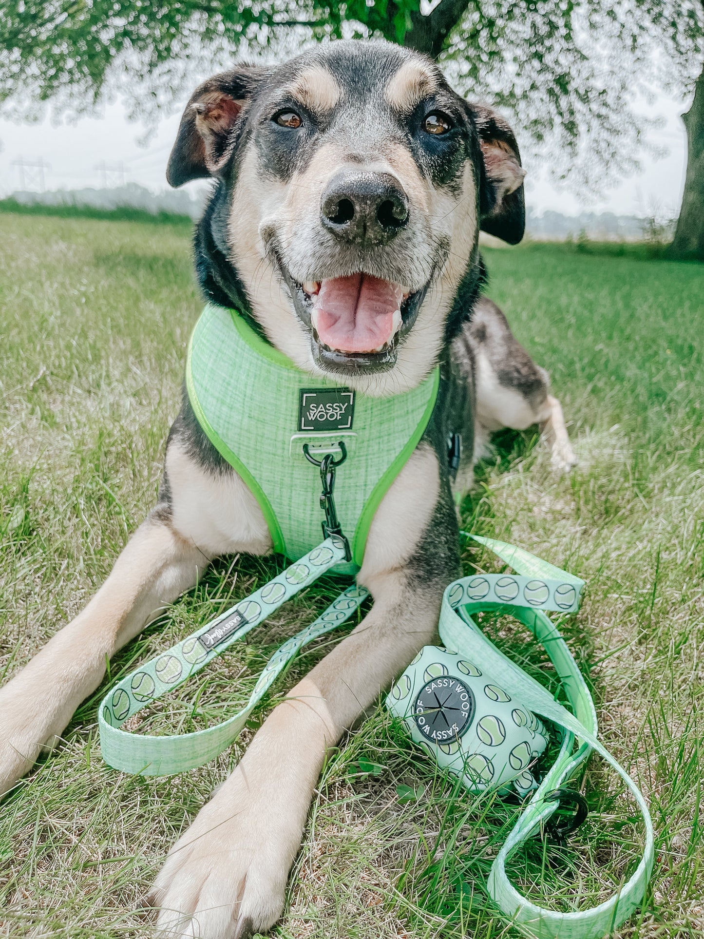 Dog Reversible Harness - Serving Up Sass
