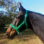Jeffers Adjustable Nylon Full Size Horse Halter