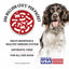 Jeffers BELLY BUDDY Probiotic Supplement Powder for Dogs – Multi-Strain Digestive & Immune Support