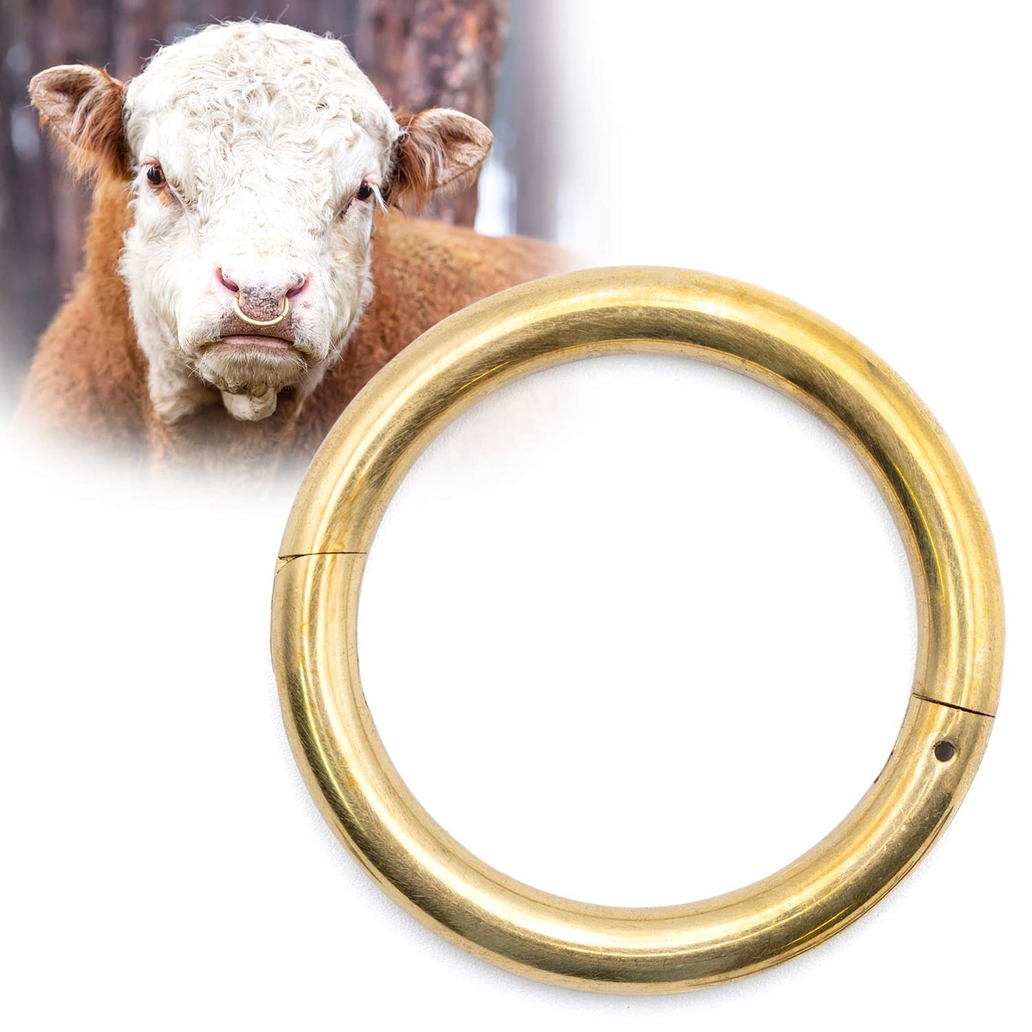Jeffers Bull Ring with Screws