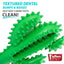 Jeffers Cactus Natural Rubber Dental Chew Toy for Dogs for Healthy Chewing Habits