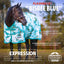 Jeffers Expression 1200 Denier Standard Neck Turnout Horse Blanket, 240 Gram