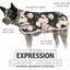 Jeffers Expression 600D Waterproof Ripstop Dog Coat, 240 Gram