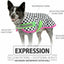Jeffers Expression 600D Waterproof Ripstop Dog Coat, 240 Gram
