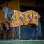 Jeffers Expression Standard Neck Fleece Horse Cooler