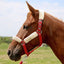 Jeffers Horse Fleece Halter Tube, 4 Piece Comfort Set