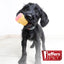 Jeffers Ice Cream Cone Natural Rubber Stuffable Treat Dispensing Dental Dog Chew Toy