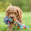 Jeffers Multi-Colored Braided Rope Bone Tug Toy for Dogs