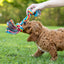 Jeffers Multi-Colored Braided Rope Bone Tug Toy for Dogs