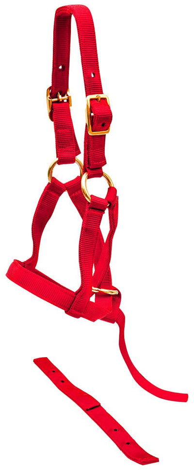 Jeffers Nylon "Grow With Me" Weanling Horse Halter, 3/4"W