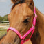 Jeffers Nylon Foal & Pony Halter