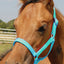 Jeffers Nylon Foal & Pony Halter