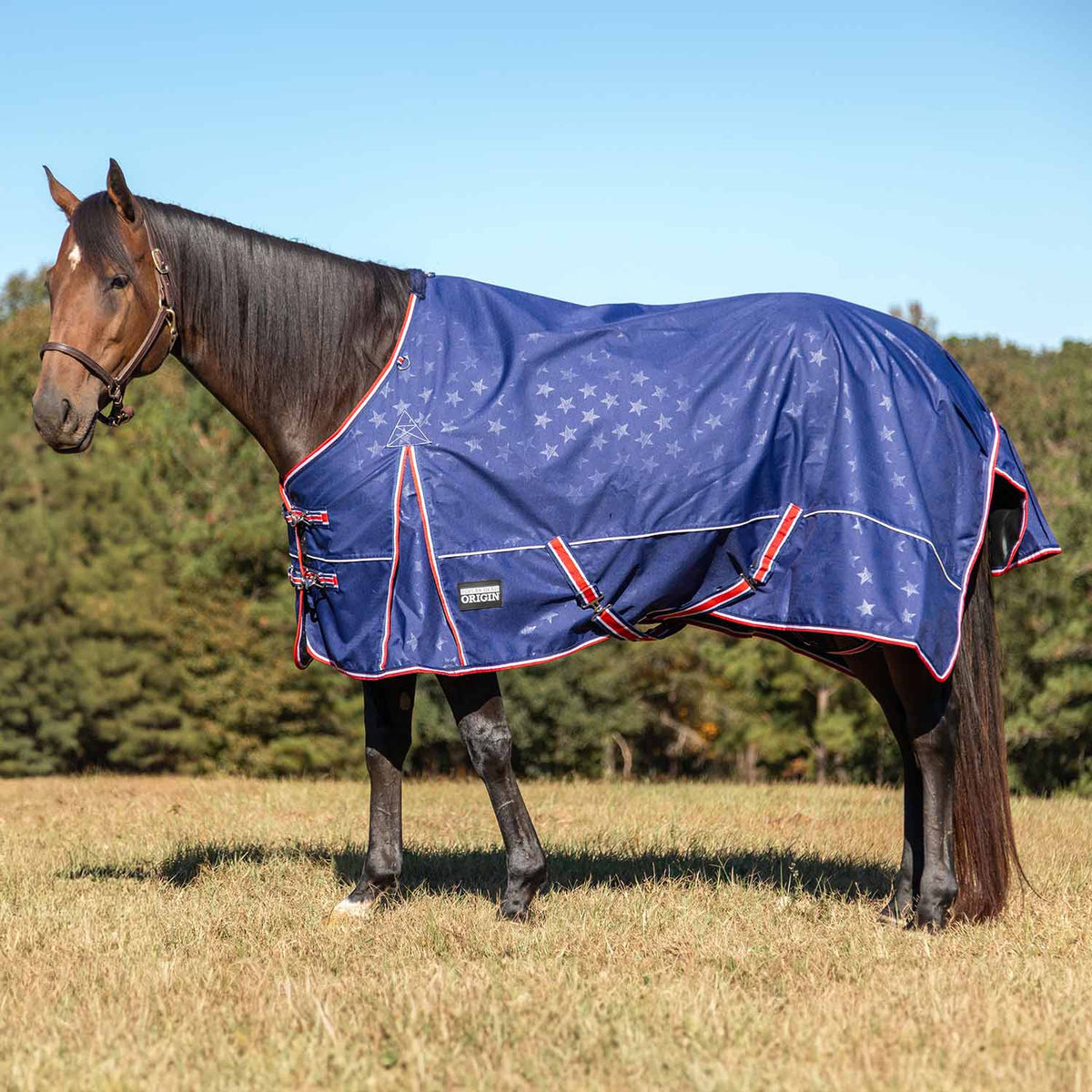 Jeffers Poplar Head "Origin" 600D Medium Weight Turnout Blanket, 240g | Waterproof & Breathable Horse Blanket