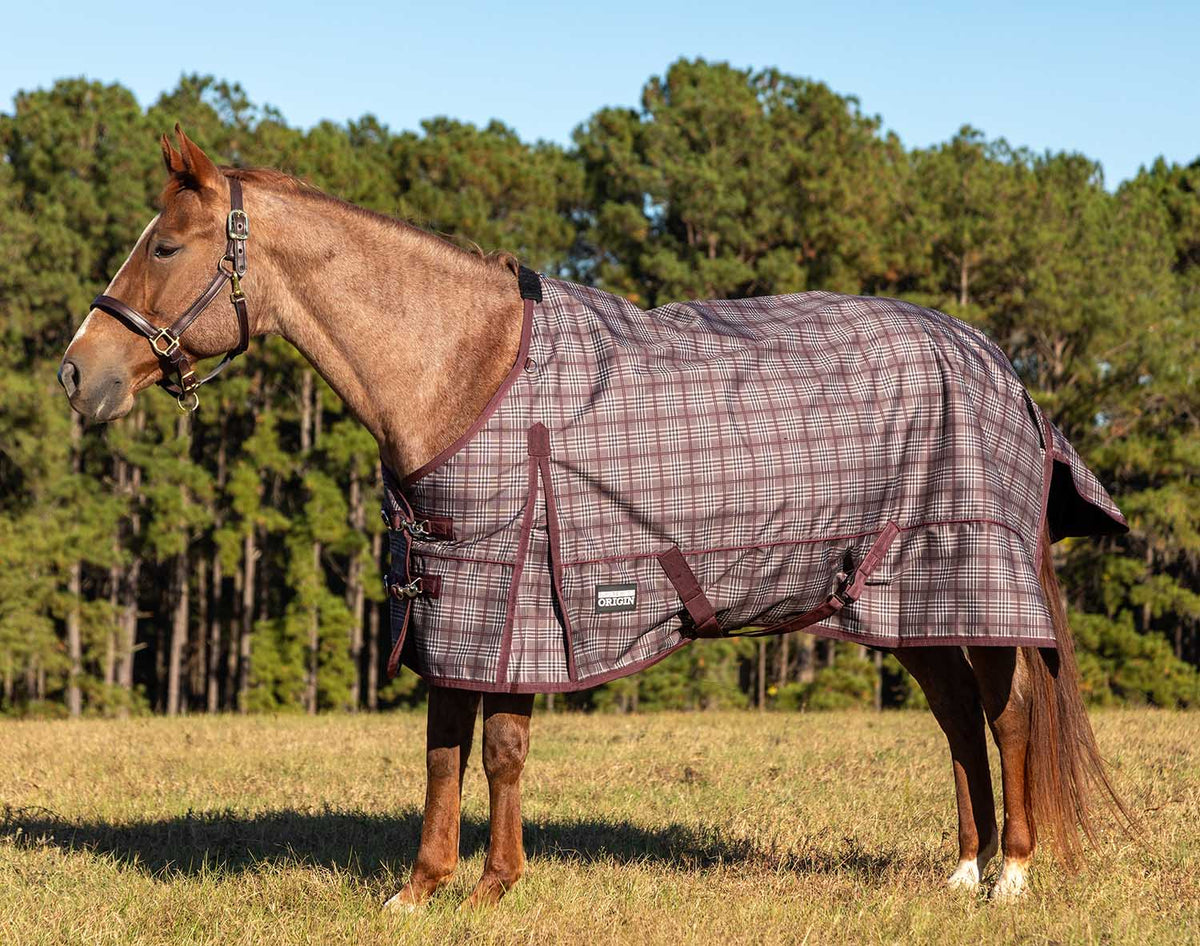 Jeffers Poplar Head "Origin" 600D Medium Weight Turnout Blanket, 240g | Waterproof & Breathable Horse Blanket
