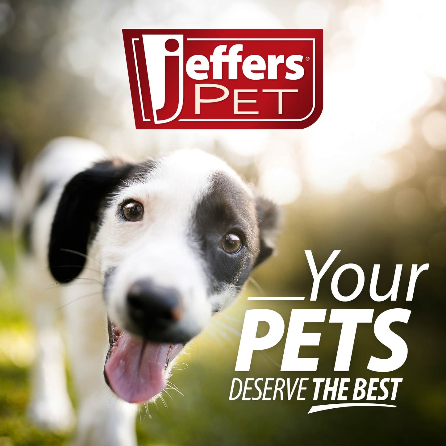 Jeffers Reflective Hound Series Nylon Dog Leash, 1" x 4'