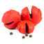 Jeffers Red Millipede Natural Rubber Treat Dispensing Dental Dog Chew Toy