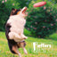 Jeffers Red Paw Frisbee Natural Rubber Dog Toy for Fetching & Chewing