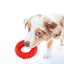 Jeffers Red Virgo Tugger Natural Rubber Dog Dental Chew Toy for Interactive or Solo Play