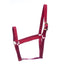 Jeffers Turnout Nylon Horse Halters, 2-Ply, 1"