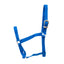 Jeffers Turnout Nylon Horse Halters, 2-Ply, 1"