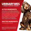 Jeffers UrinaryWes Urinary Support Powder with D-Mannose for Dogs & Cats