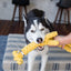 Jerry the Giraffe Rope Dog Toy