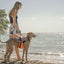 JK9®Multivest/ Swimming Vest