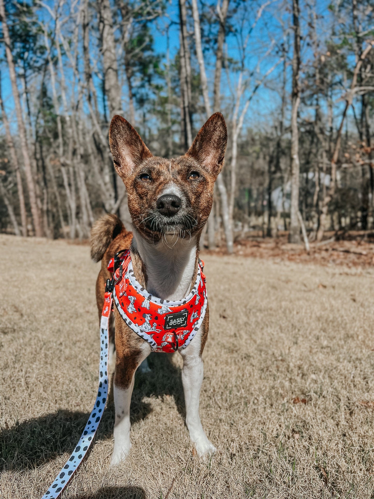 Dog Adjustable Harness - Disney's 101 Dalmatians