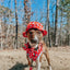 Dog Bucket Hat - Disney's 101 Dalmatians