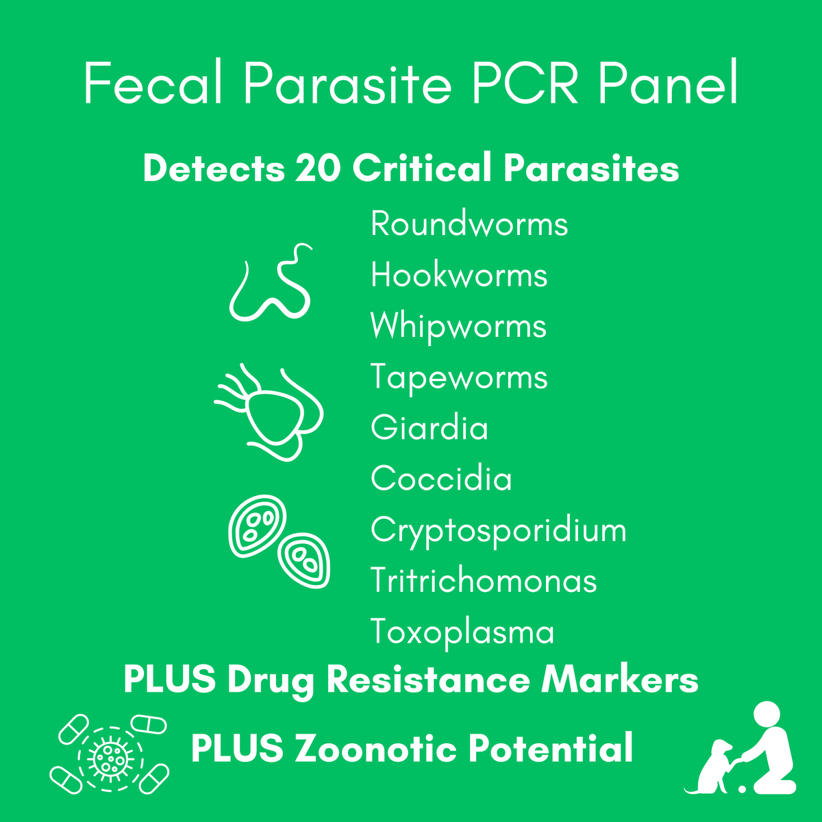 Parasite Detect PCR Panel for Dogs & Cats - At-Home Lab Test | Kedi Labs