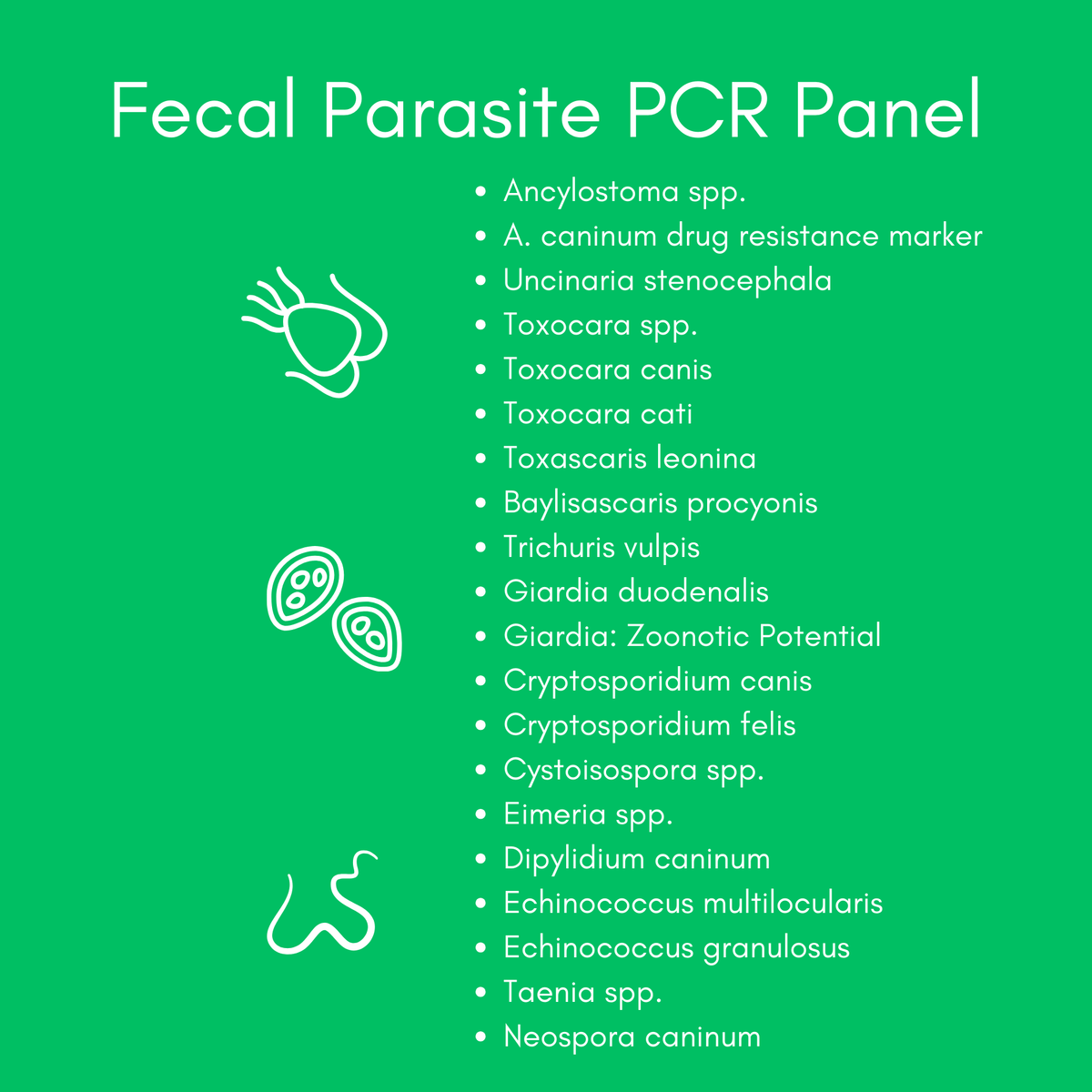 Parasite Detect PCR Panel for Dogs & Cats - At-Home Lab Test | Kedi Labs