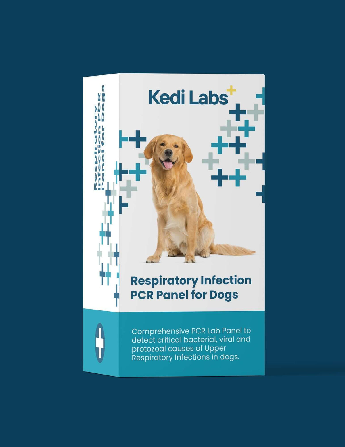 Respiratory Infection Check for Dogs (PCR) - At-Home Dog Lab Test | Kedi Labs