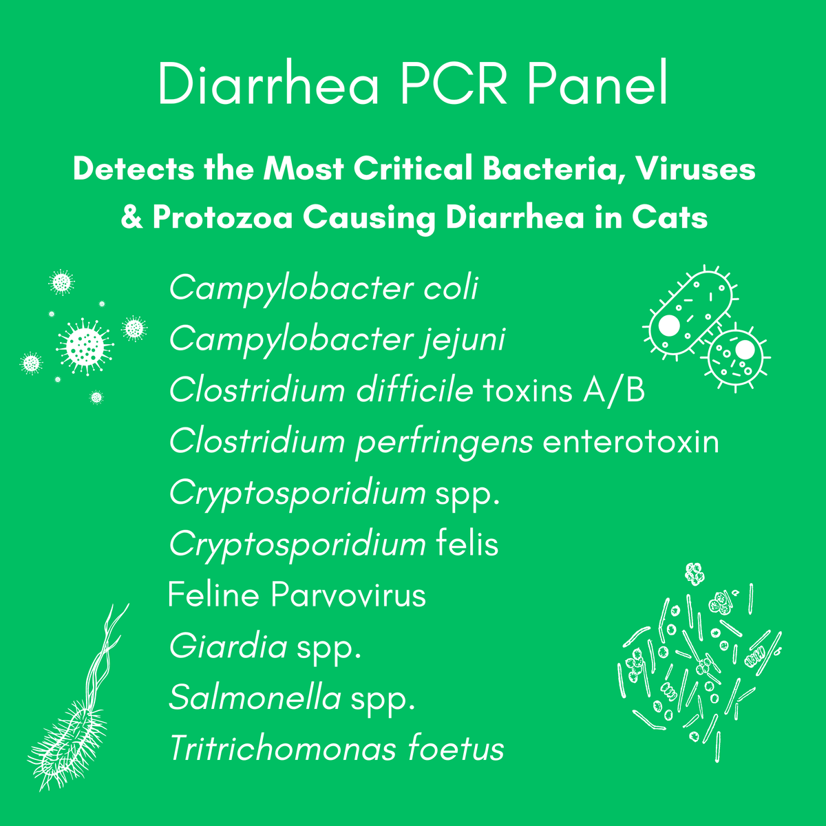 Diarrhea Check for Cats (PCR) - At-Home Cat Lab Test | Kedi Labs