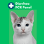 Diarrhea Check for Cats (PCR) - At-Home Cat Lab Test | Kedi Labs